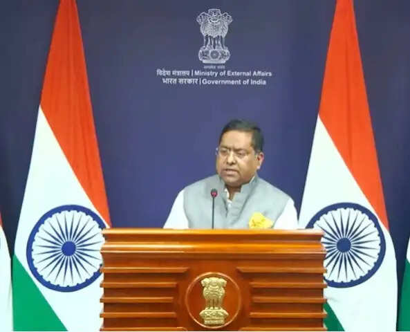 एलपीजी के चार जहाज भारत आए, शेष 20 जहाजों को लाने का प्रयास : विदेश मंत्रालय