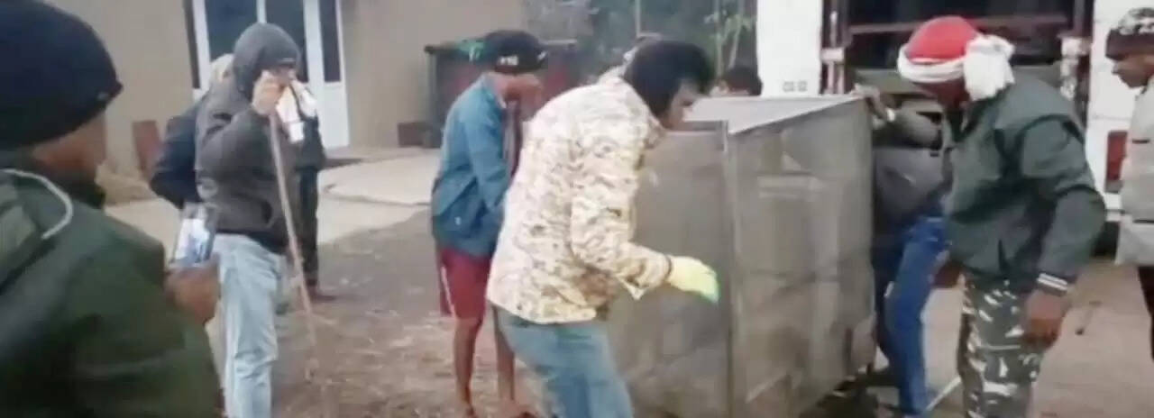 धमतरी : जाल में फंसा तेंदुआ, वन विभाग ने किया सफल रेस्क्यू