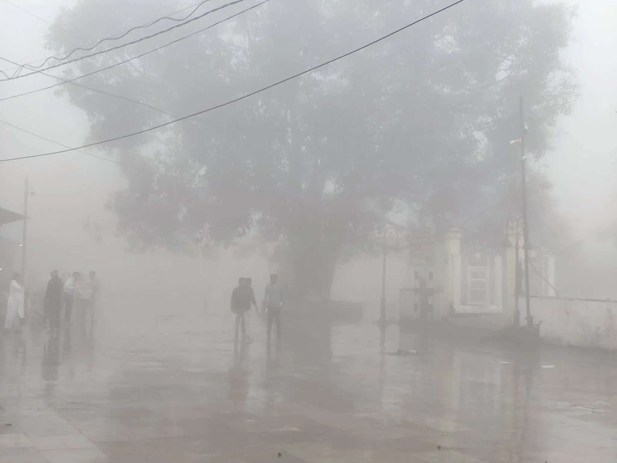 अनूपपुर: अर्नब चक्रवात से बारिश जारी: अमरकंटक में धुंध, रात से बिजली की आंख मिचौली जारी, कटी फसलों को नुकसान की आशंका
