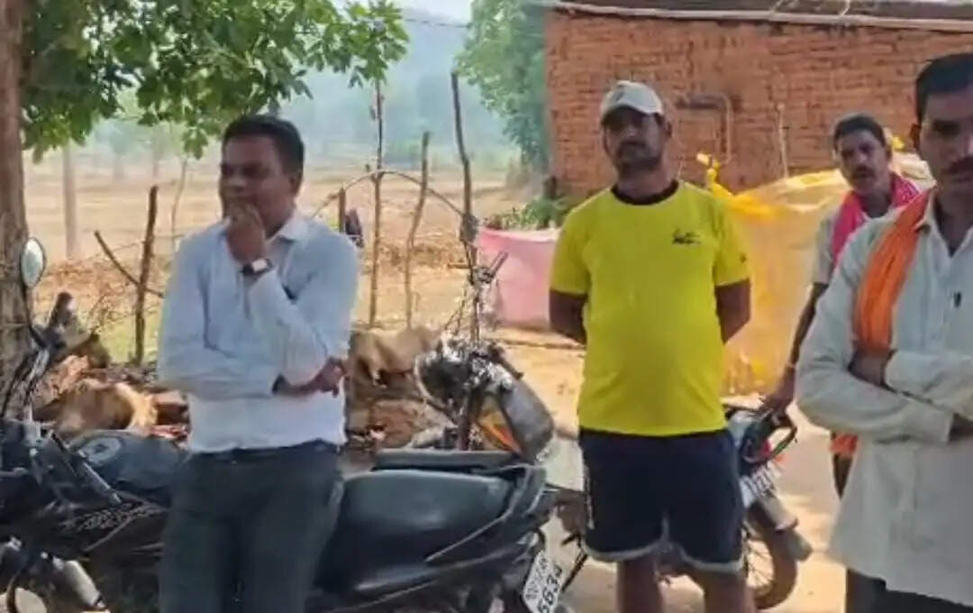 कोरबा के करतला में जमीन सीमांकन को लेकर बवाल, आरआई- पटवारी को बंधक बनाने का आरोप, वीडियो वायरल