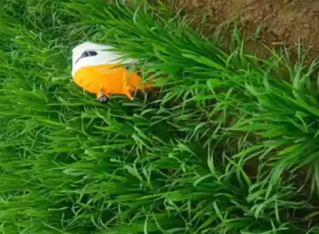 सिरसा में मिला पाकिस्तानी गुब्बारा, पुलिस ने कब्जे में लिया