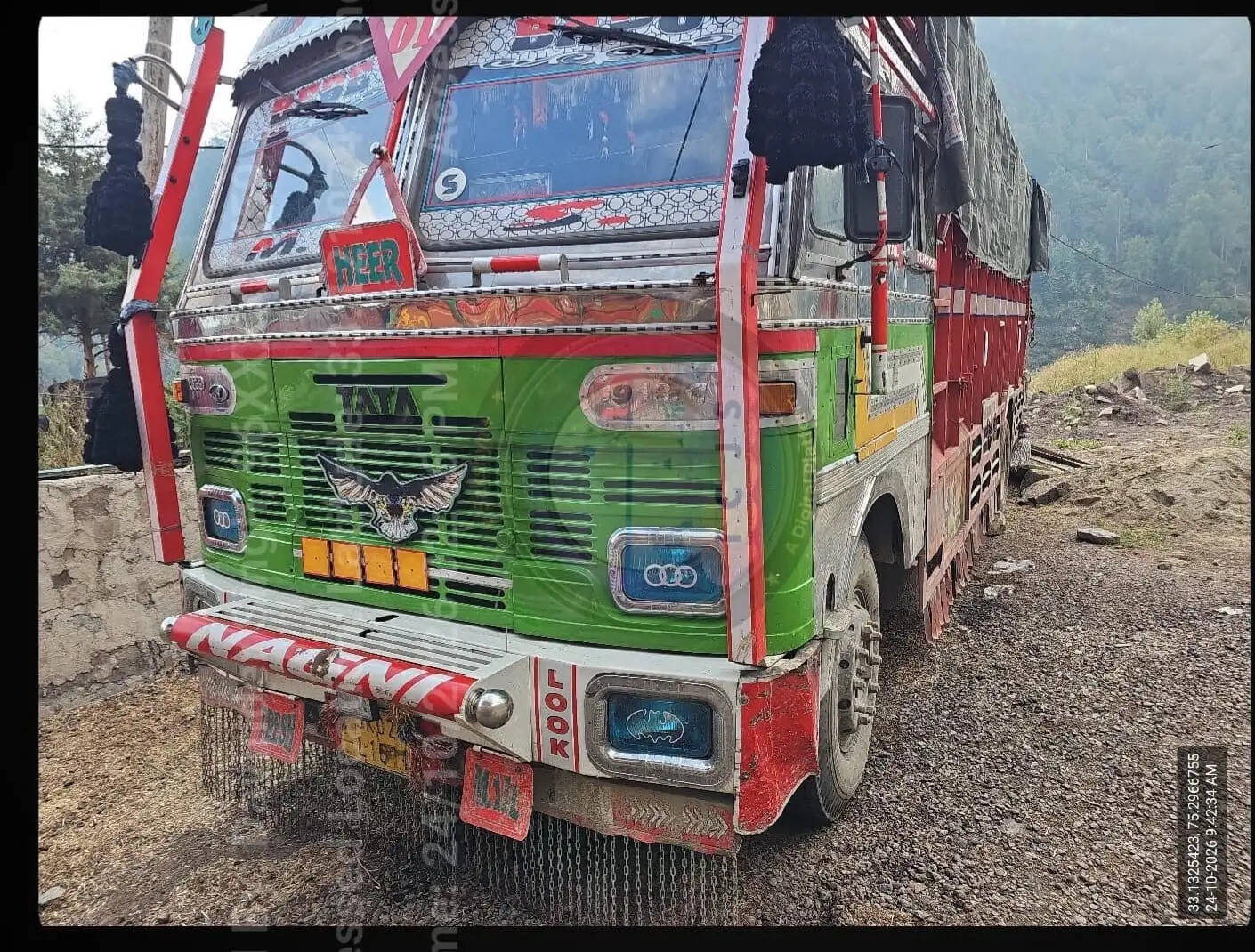नाशरी नाके पर 65 गोवंश बरामद, दो वाहन जब्त