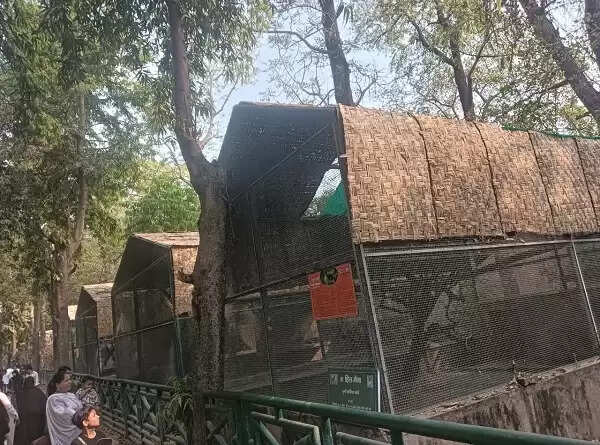लखनऊ प्राणि उद्यान में वन्य जीवाें काे गर्मी से बचाने के लिए 50 से अधिक लगाये गये कूलर