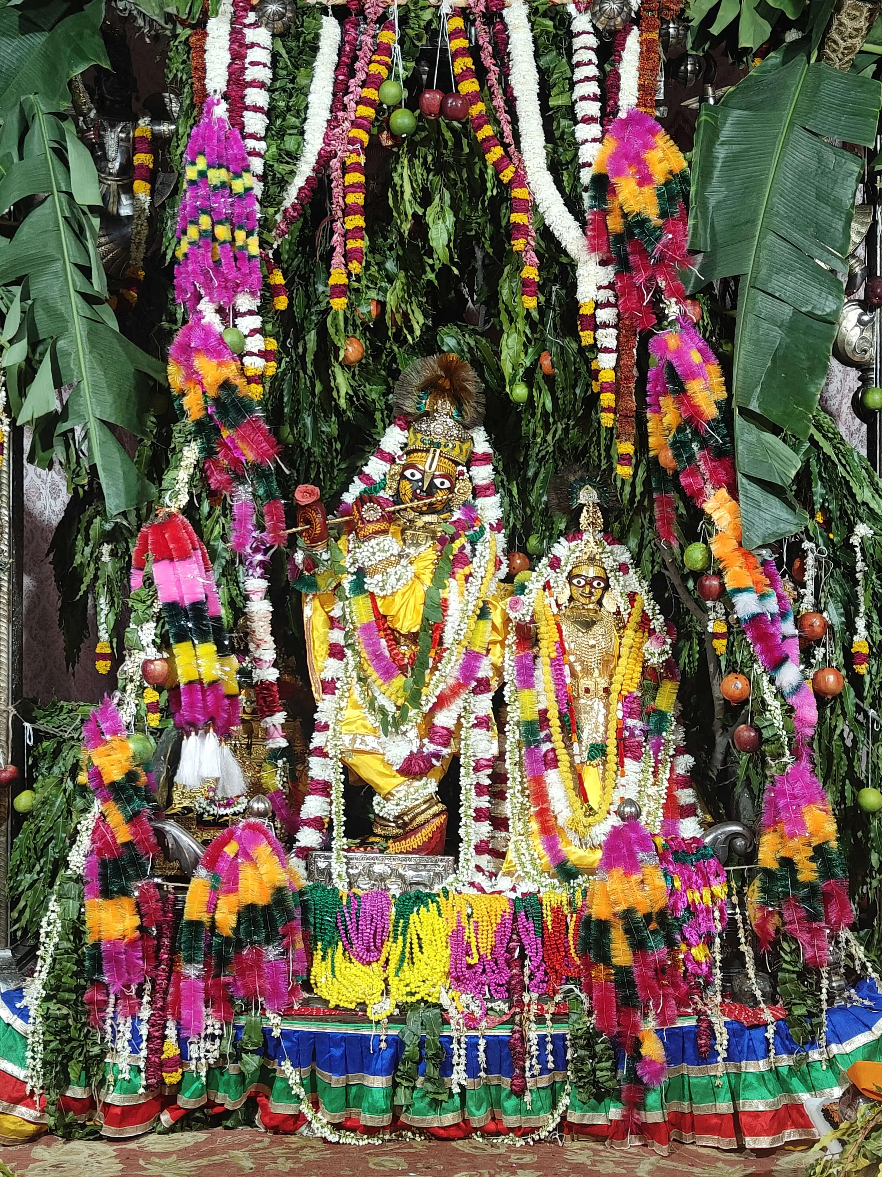 केसर-अगरू से रंगी पवित्रा मालाओं से सजे ठाकुर जी: गोविंददेवजी मंदिर में भक्ति की बही धारा