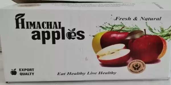 शिमला से 1 करोड़ 3 लाख सेब पेटियां देश की मंडियों में पहुंचीं