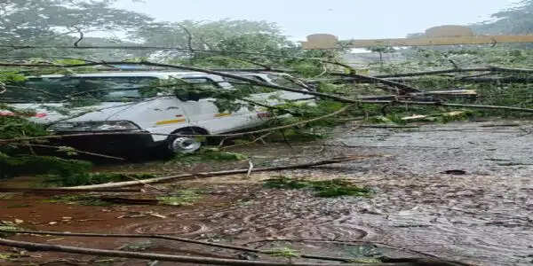 भोपाल में माैसम&nbsp;ने&nbsp;बदली&nbsp;करवट,&nbsp;आंधी-बारिश&nbsp;ने&nbsp;उमस&nbsp;से&nbsp;दी&nbsp;राहत, इटारसी में एंबुलेंस पर गिरा पेड़