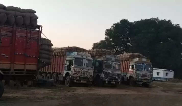 अनूपपुर: यमराज बने ओवरलोड ट्रक, ओवरलोड धान परिवहन कर रहे ट्रक