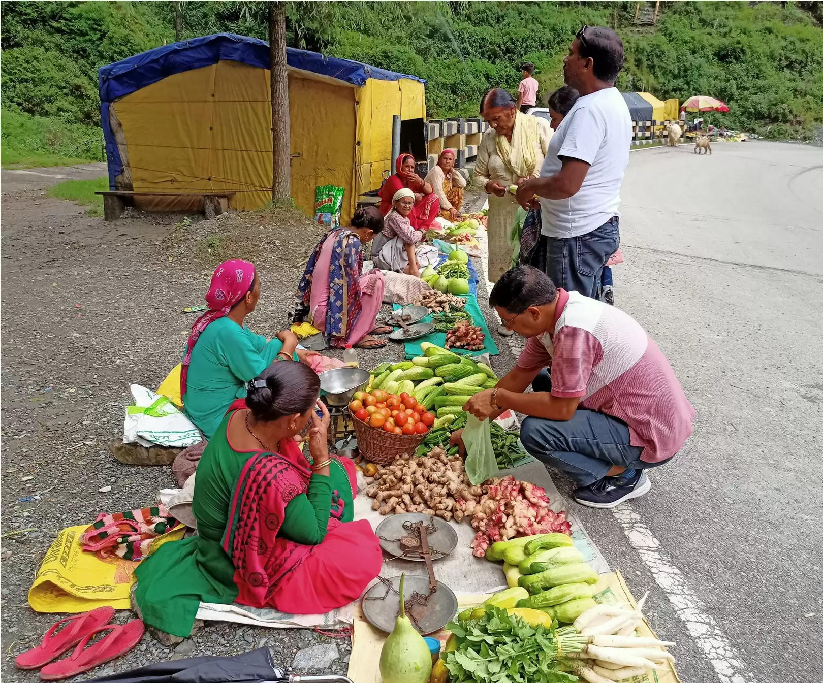 सडक़ के  किनारे मौसमी सब्जियां बेचकर परिवार की आर्थिकी को सुदृढ़ कर रही हैं महिलाएं