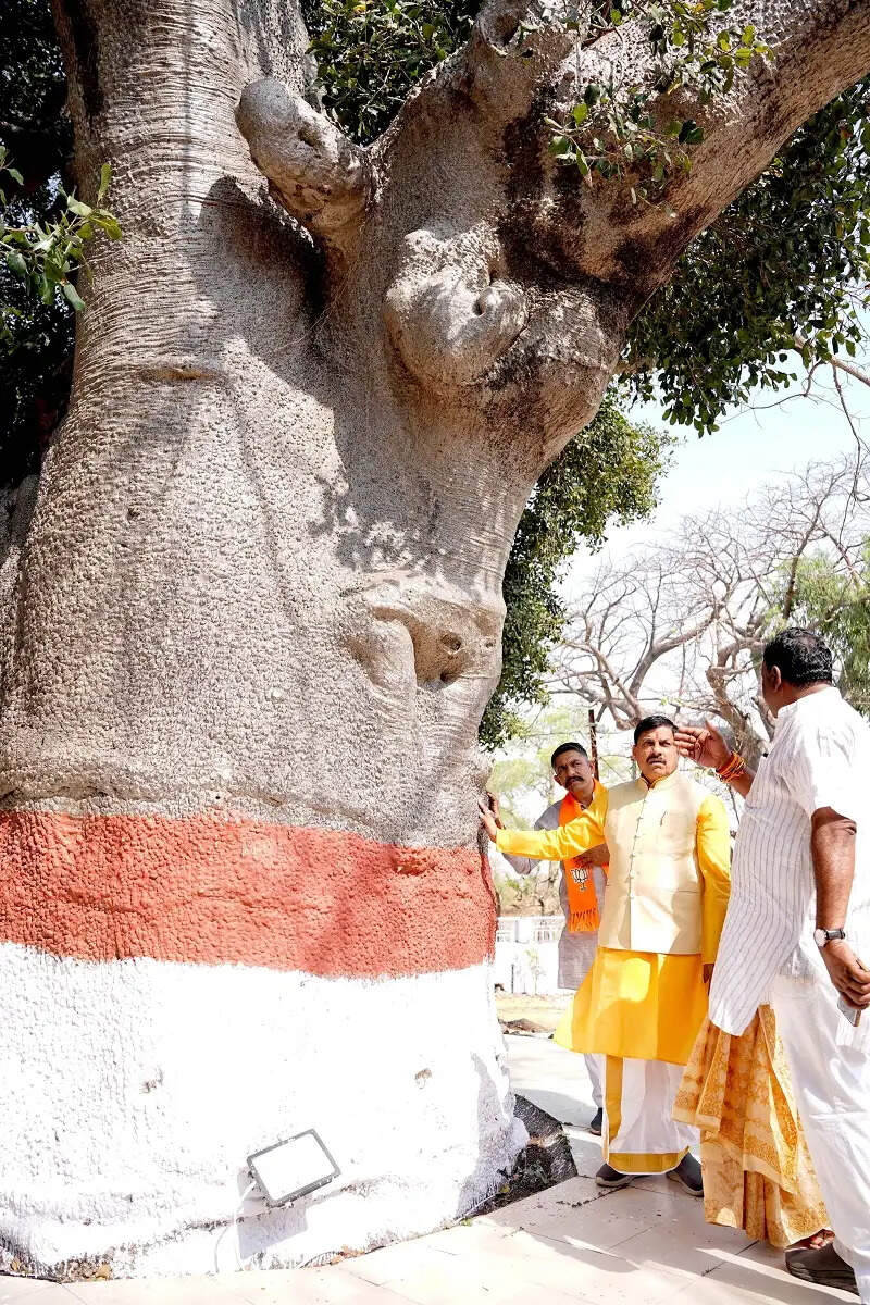 मुख्यमंत्री डॉ. यादव ने देखा माण्डू का पुरातात्विक वैभव, धरमपुरी में किया माँ नर्मदा का पूजन