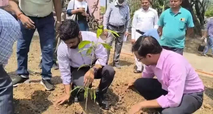 अनूपपुर: पर्यावरण एवं पृथ्वी को बचाने के लिए पेड़-पौधे लगाना आवश्यक - कलेक्टर