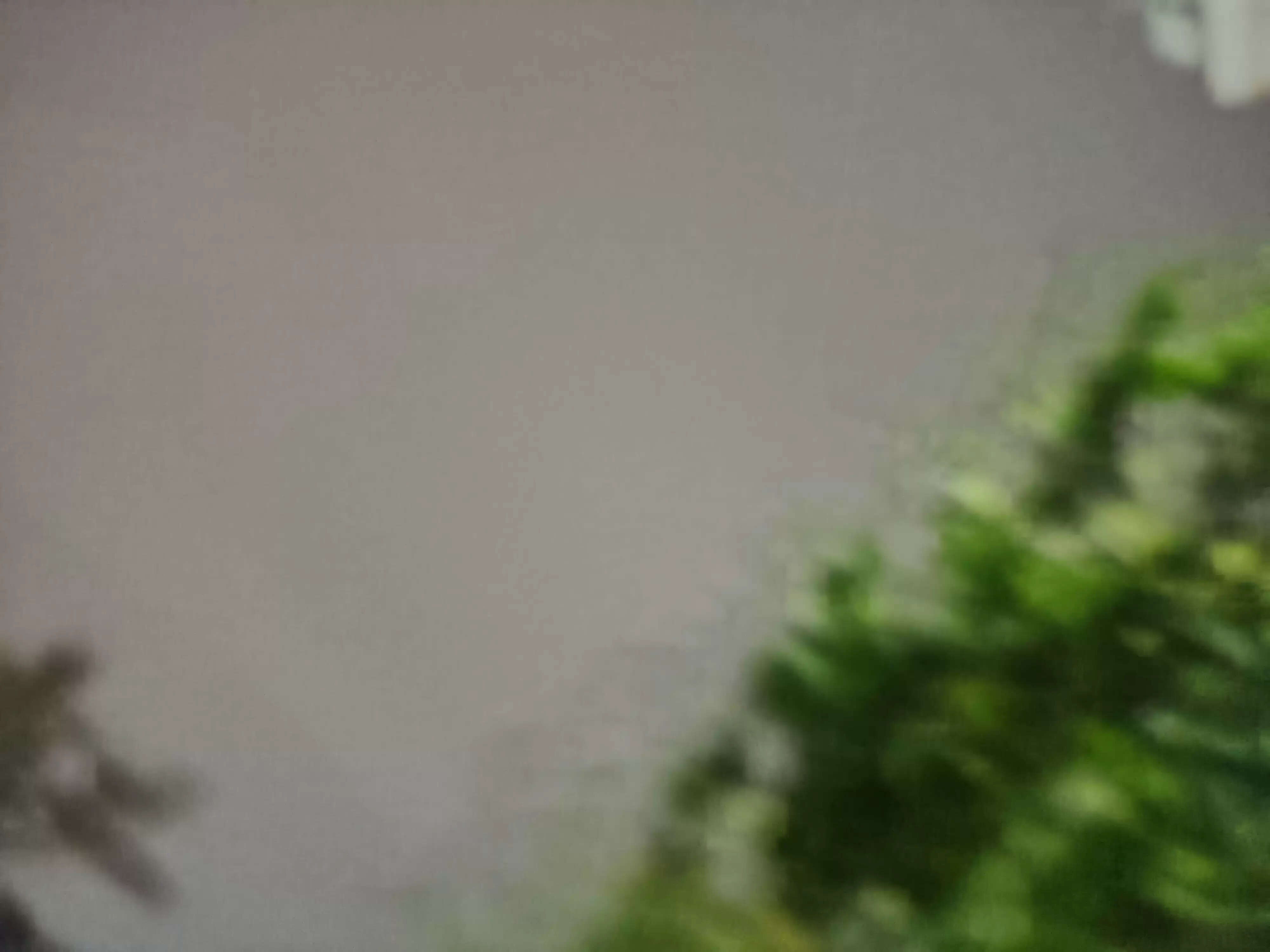 उत्तराखंड के ऊंचाई वाले क्षेत्रों में बर्फबारी व हिमस्खलन की चेतावनी