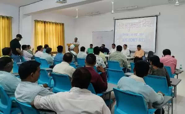 मधुमक्खी पालन प्रोत्साहन के लिए योगी सरकार दे रही निःशुल्क प्रशिक्षण एवं अनुदान