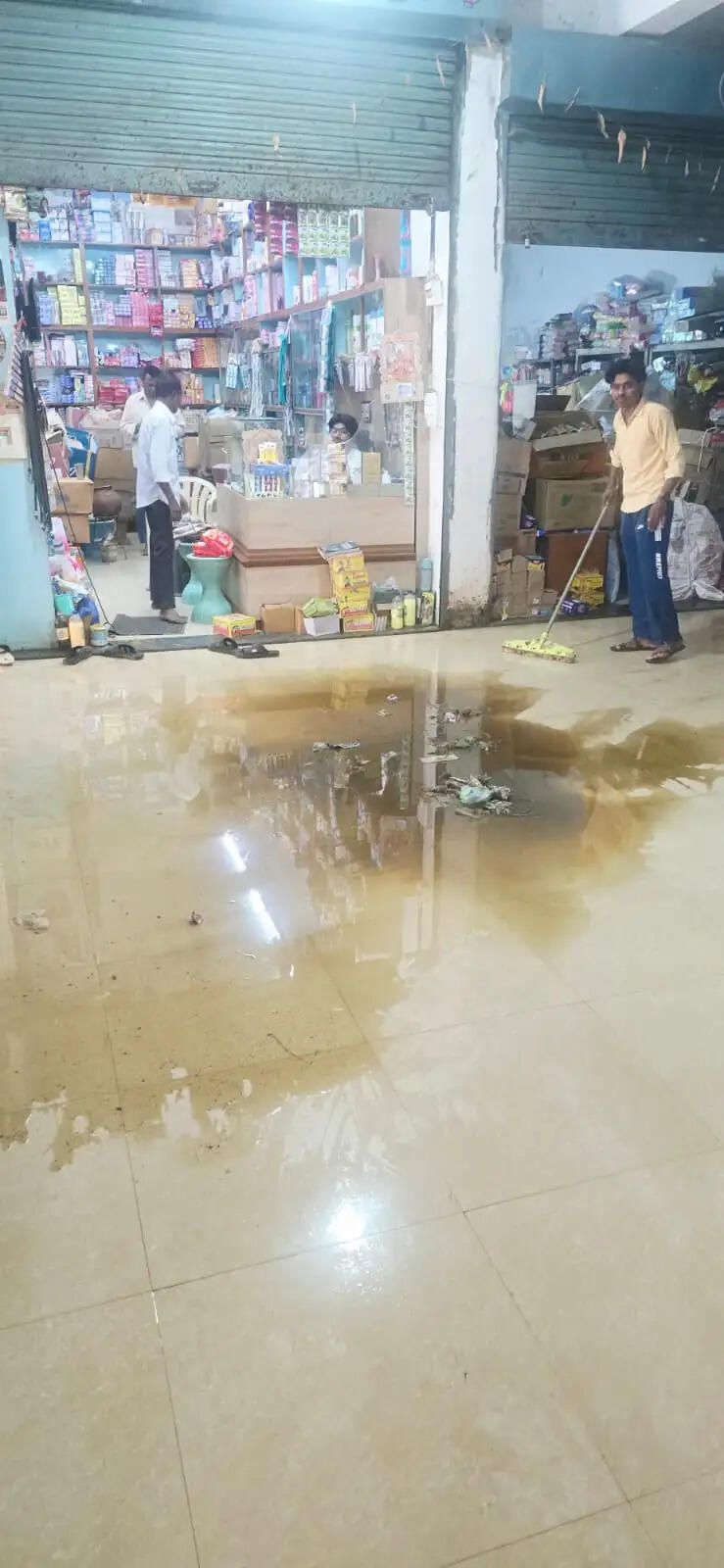 धमतरी के बालक चौक निगम कॉम्प्लेक्स में मवेशियों का डेरा, व्यापारी परेशान