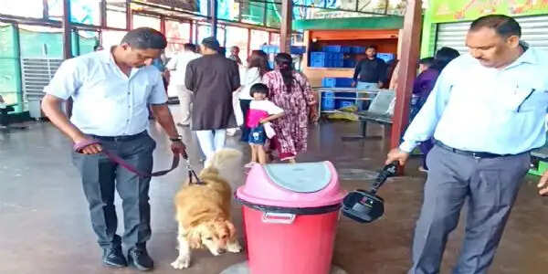 चारधाम यात्रा से पहले मनसा देवी और चंडी देवी मंदिर में सघन चेकिंग, बीडीएस व डॉग स्क्वायड की टीमों ने खंगाला परिसर