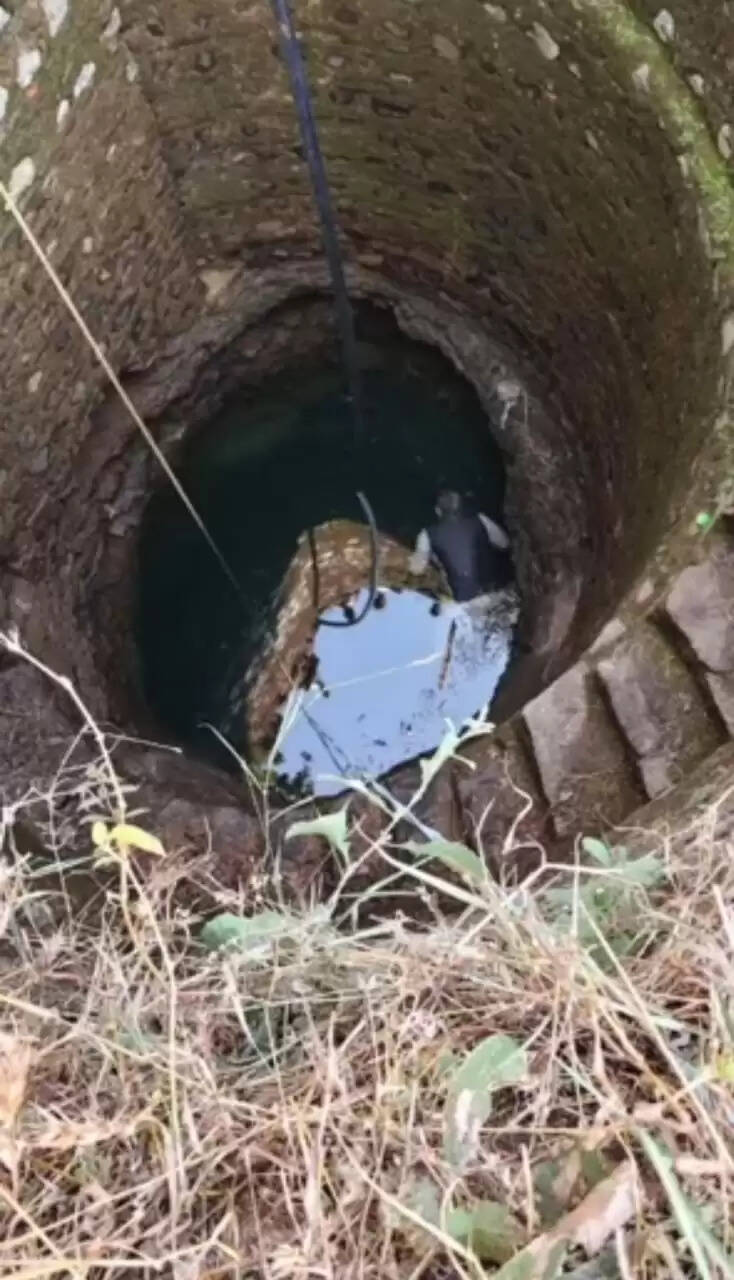 राजगढ़ः बिना मुंडेर के कुएं में तैरता मिला बुर्जुग व्यक्ति का शव, जांच शुरु