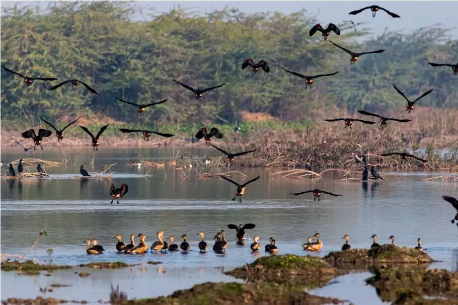 इत्र की खुशबू और विरासत का गौरव कन्नाैज पर्यटन के नक्शे पर चमक रहा