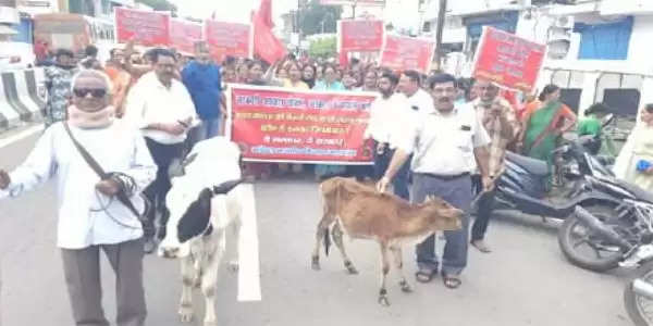 आवारा गोवंश की समस्या को लेकर ग्रामीणों का प्रदर्शन, सरकार पर लगाया असंवेदनशीलता का आरोप