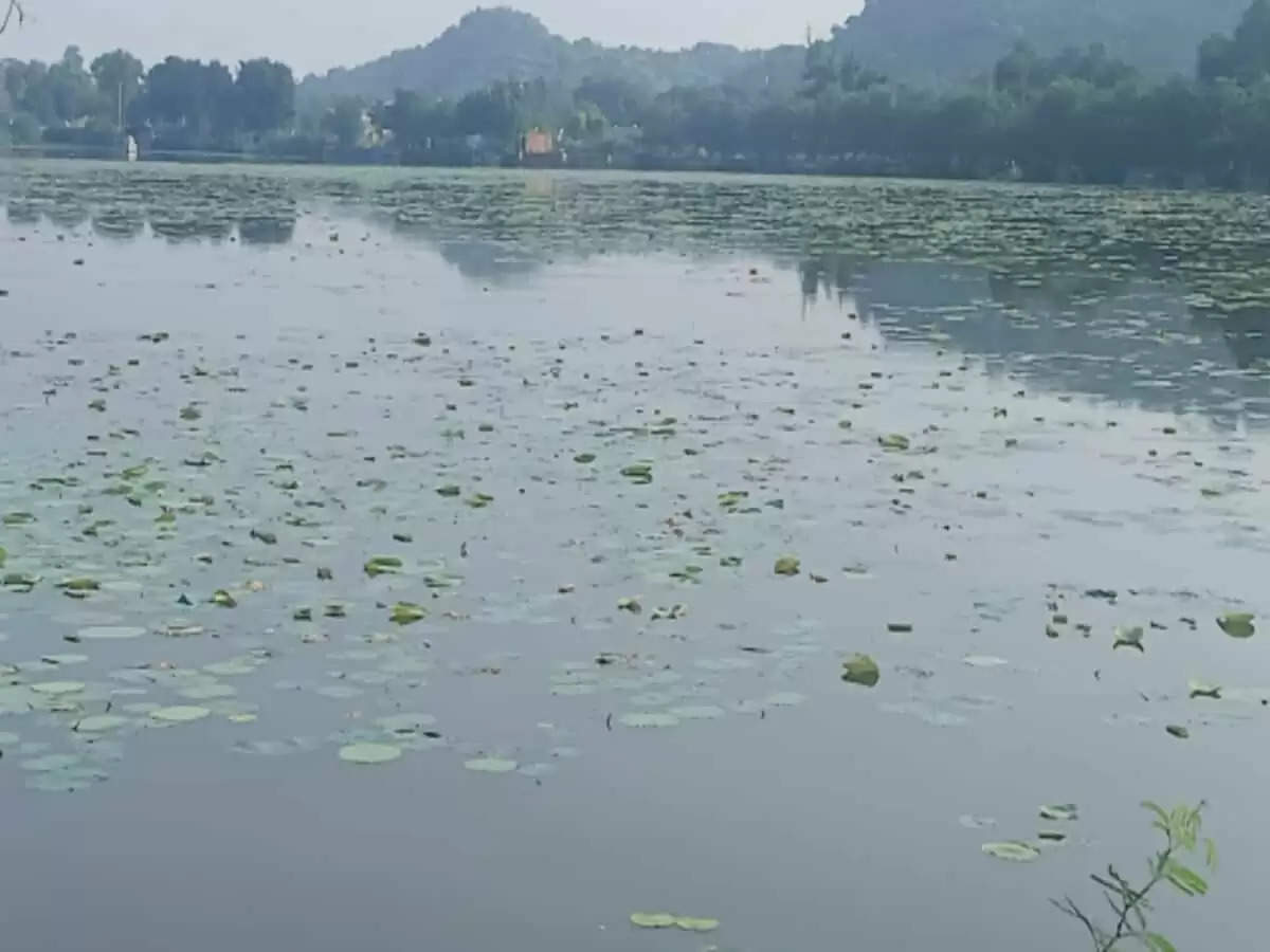 डल झील से कम नहीं है सप्त सरोवरों का अद्भुत संगम, बुंदेलखंड का कश्मीर है चरखारी