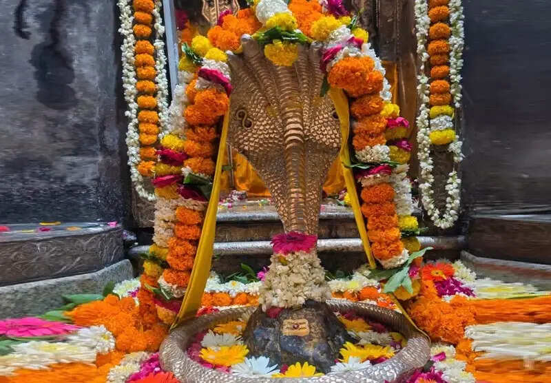 ओंकारेश्वर ज्योतिर्लिंग मंदिर में जलाभिषेक और पूजन का अब घर बैठे मिलेगा पुण्य लाभ