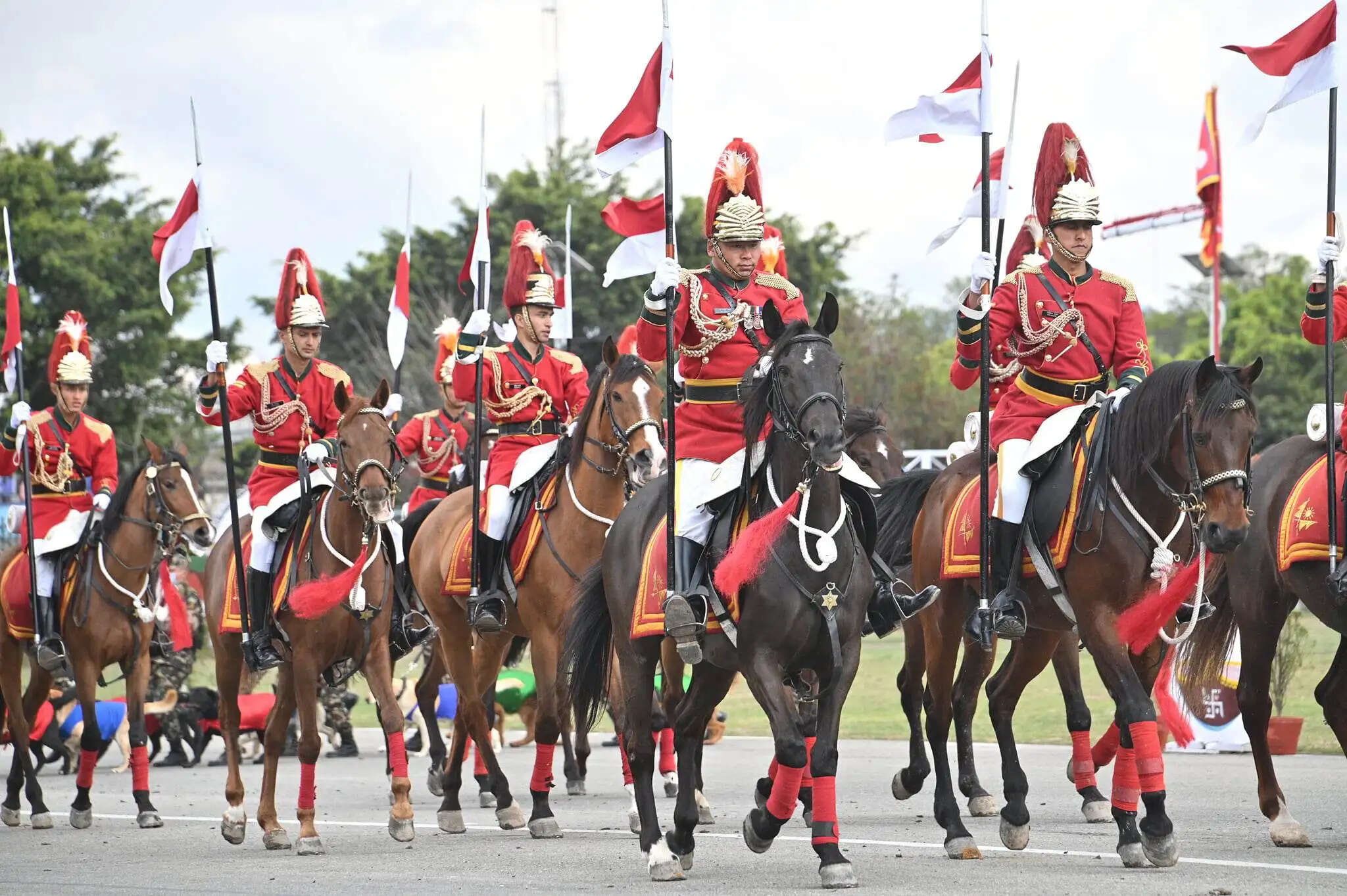 नेपाली सेना ने काठमांडू में मनाया 'घोड़े जात्रा उत्सव', सैनिकों ने साहसिक करतब दिखाए