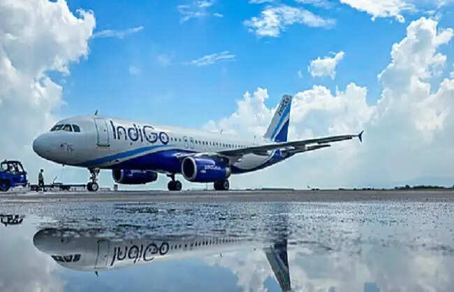 इंडिगो एयरलाइन 24 मार्च को भी चुनिंदा उड़ानें संचालित करेगी