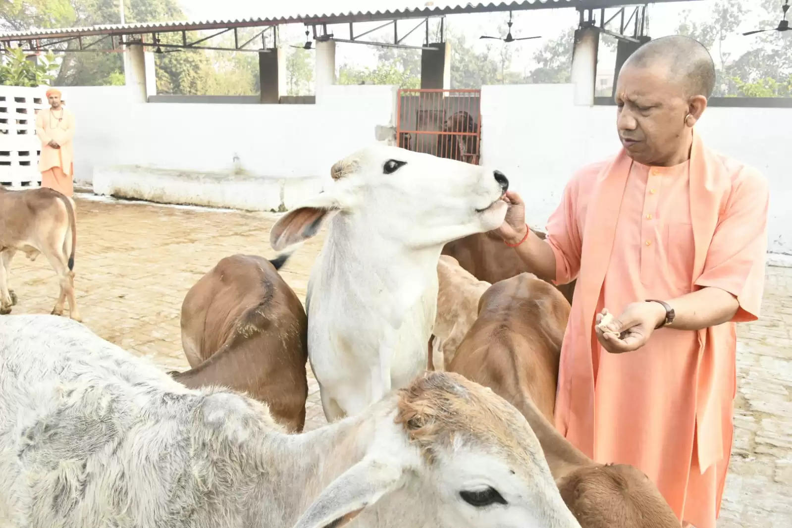 होलिका भस्म की पूजा कर मुख्यमंत्री योगी ने मनाई होली