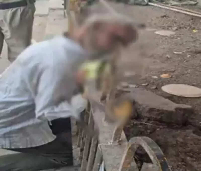 रायपुर में पीडब्ल्यूडी&nbsp;ब्रिज के नीचे ग्रिल में फंसा&nbsp;मिला अधेड़ व्यक्ति का&nbsp;शव