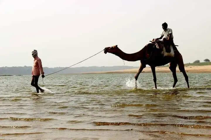 विकास की किरण से कोसों दूर है दस्यु सरगना रहे सलीम गुर्जर का गांव