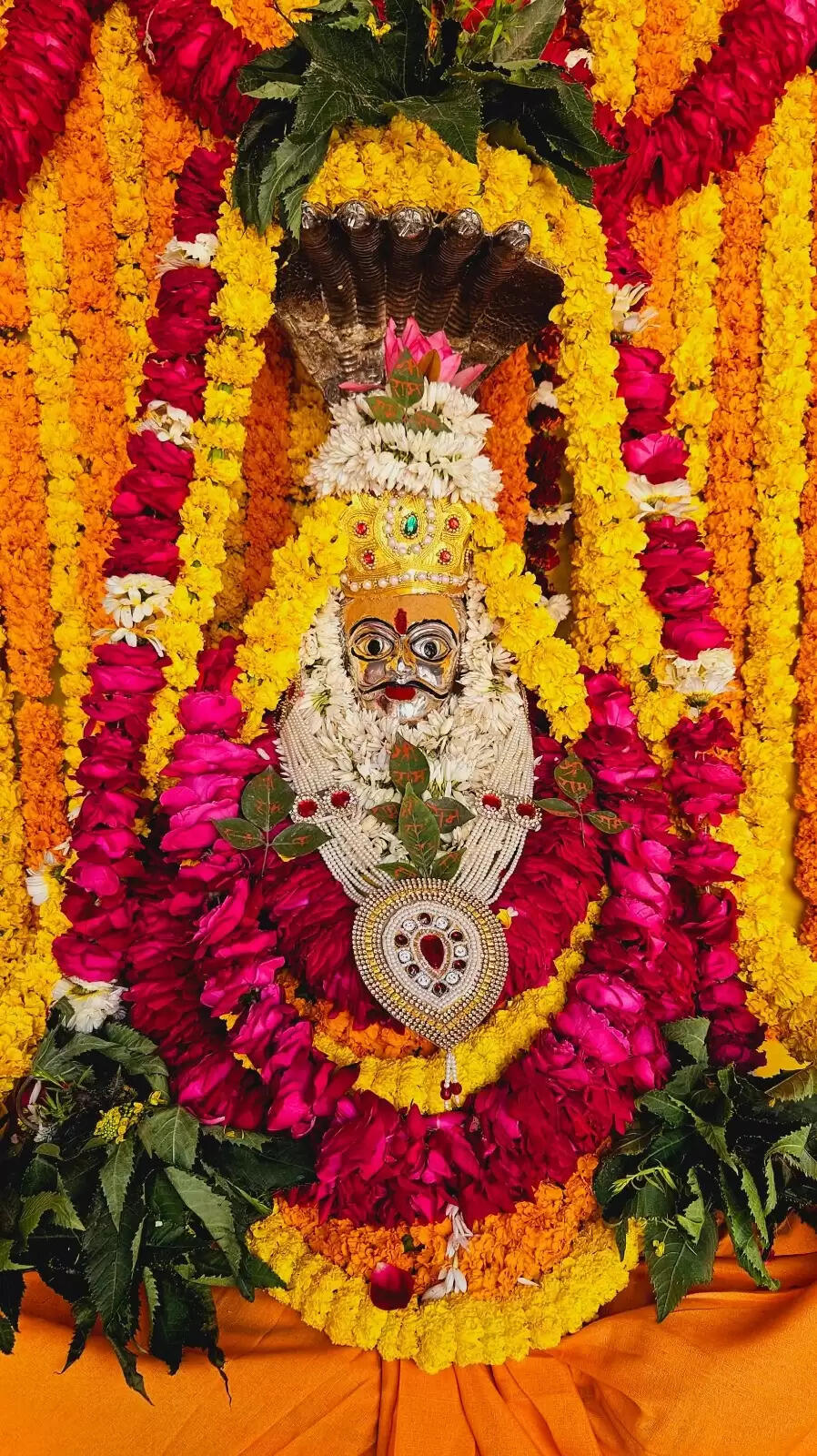 बसंत पंचमी पर श्री काशी विश्वनाथ धाम में मां सरस्वती की विशेष आराधना