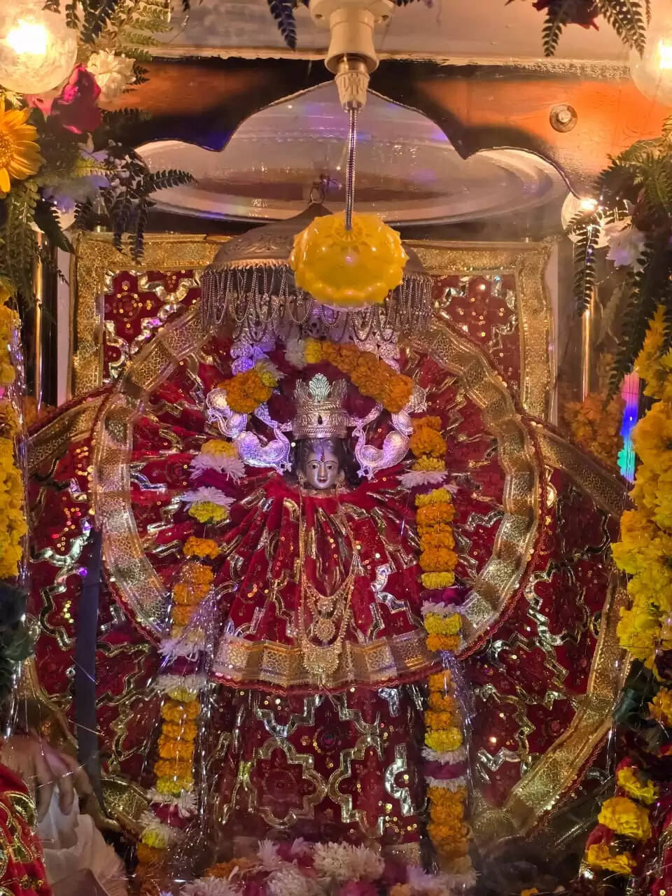 श्री हरि विराट संकीर्तन सम्मेलन समिति के वार्षिक अधिवेशन पर मनमाेहक झांकियाें संग निकली विराट भव्य शोभायात्रा