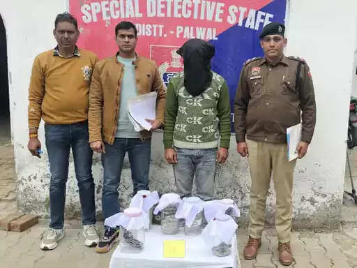 पलवल में राजस्थान का हथियार तस्कर काबू