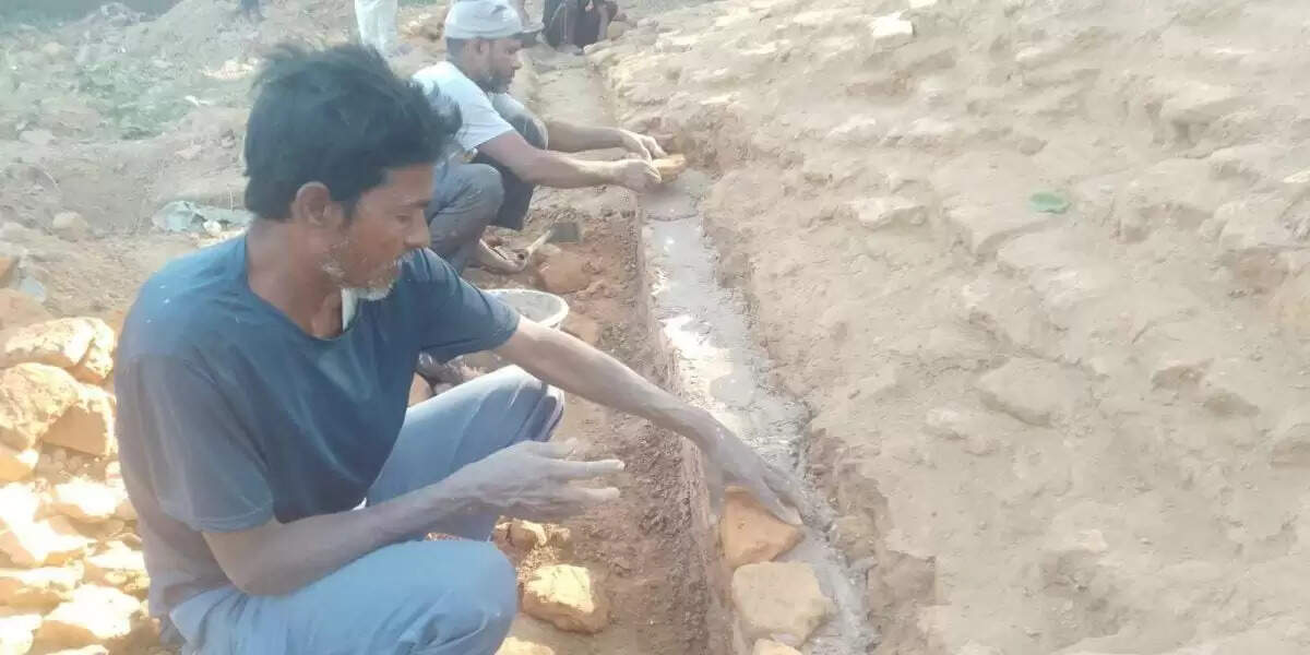 महाभारतकालीन विराट राजा के दरबार के अवशेष को संरक्षण में जुटी पुरातत्व विभाग