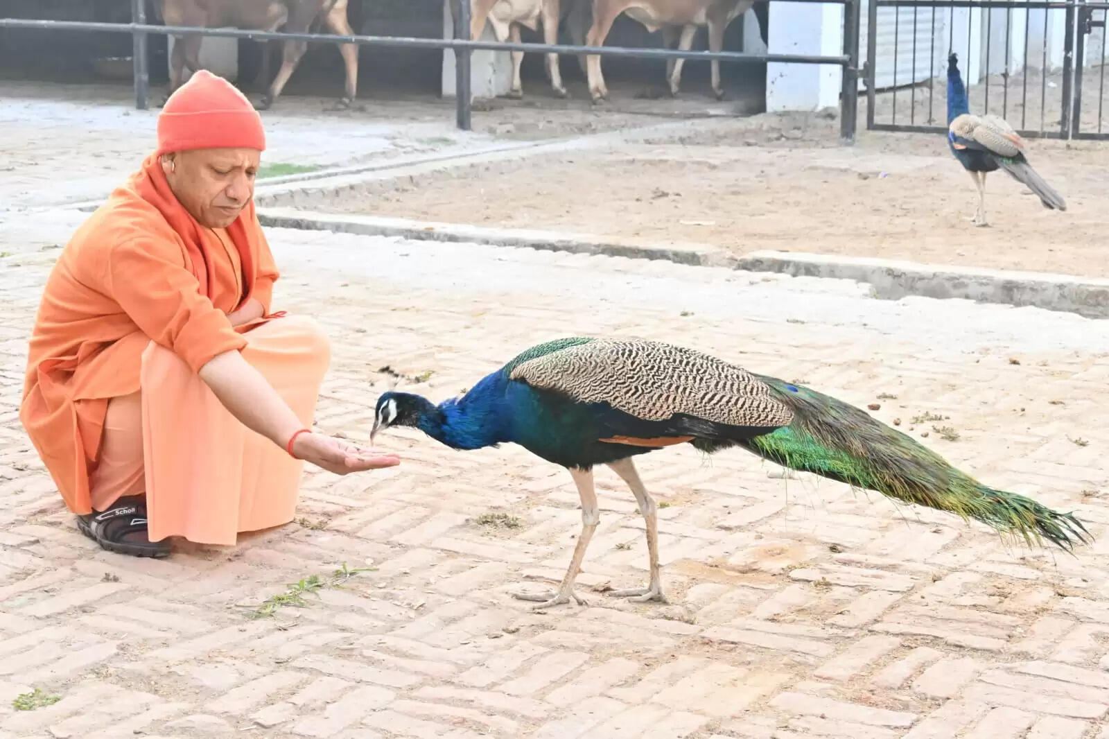 भारतीय मूल्यों की शिक्षा देते हैं महाराणा प्रताप शिक्षा परिषद के संस्थान : ले. जनरल योगेंद्र डिमरी