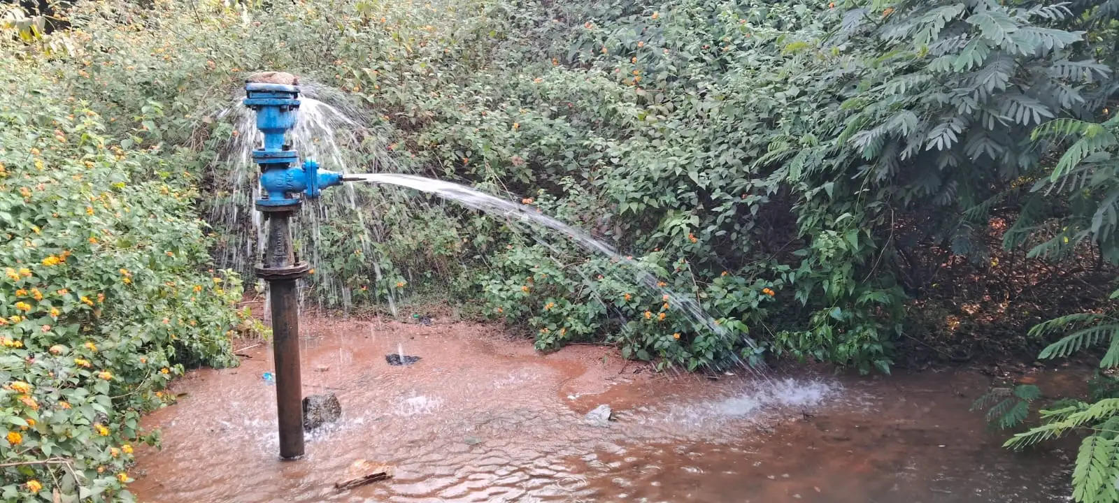 कहीं पानी को तरस रहे लोगतो कहीं बर्बाद हो रहा हजारों गैलन पानी