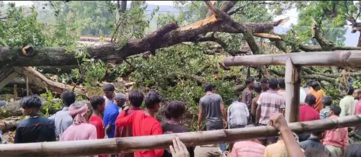 लोहरदगा में ओलावृष्टि से भारी नुकसान