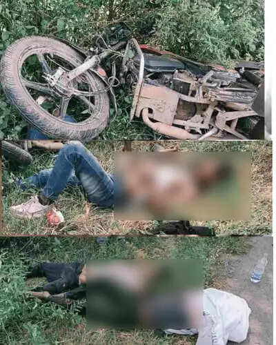 सक्ती: अनियंत्रित माेटरसाइकिल पेड़ से टकराई, 18 साल के युवक की मौत; दो की हालत गंभीर