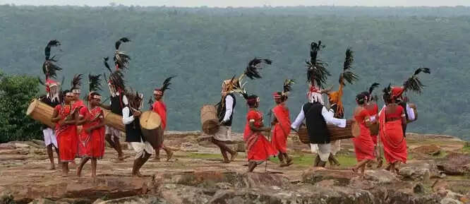 नारायणपुर : अबूझमाड़ का दुर्लभ भृंगराज पक्षी का पंख अबूझमाड़ियों का सरताज