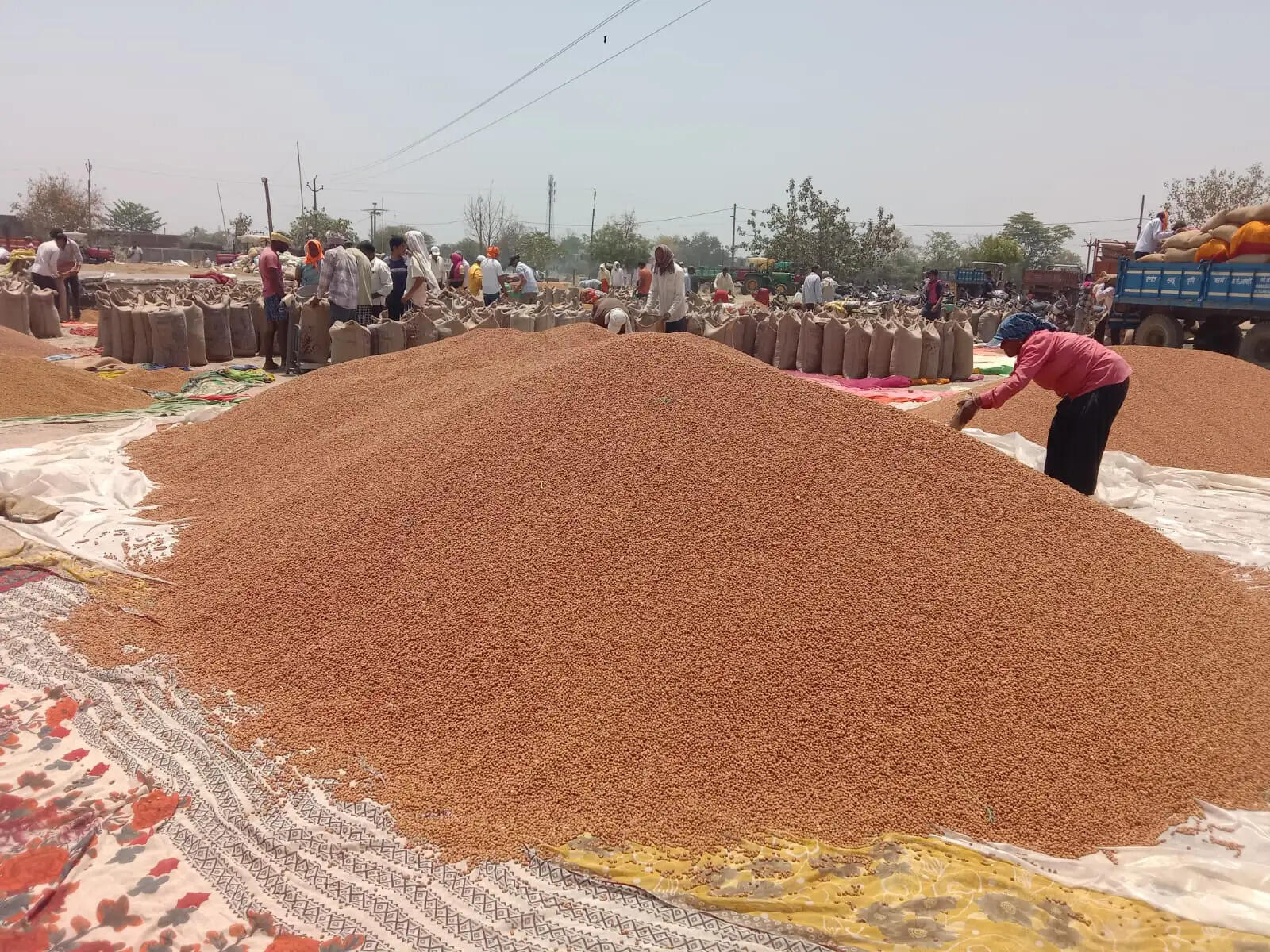 चना की क्वालिटी पास करने किसानों से रुपये लेने का आरोप