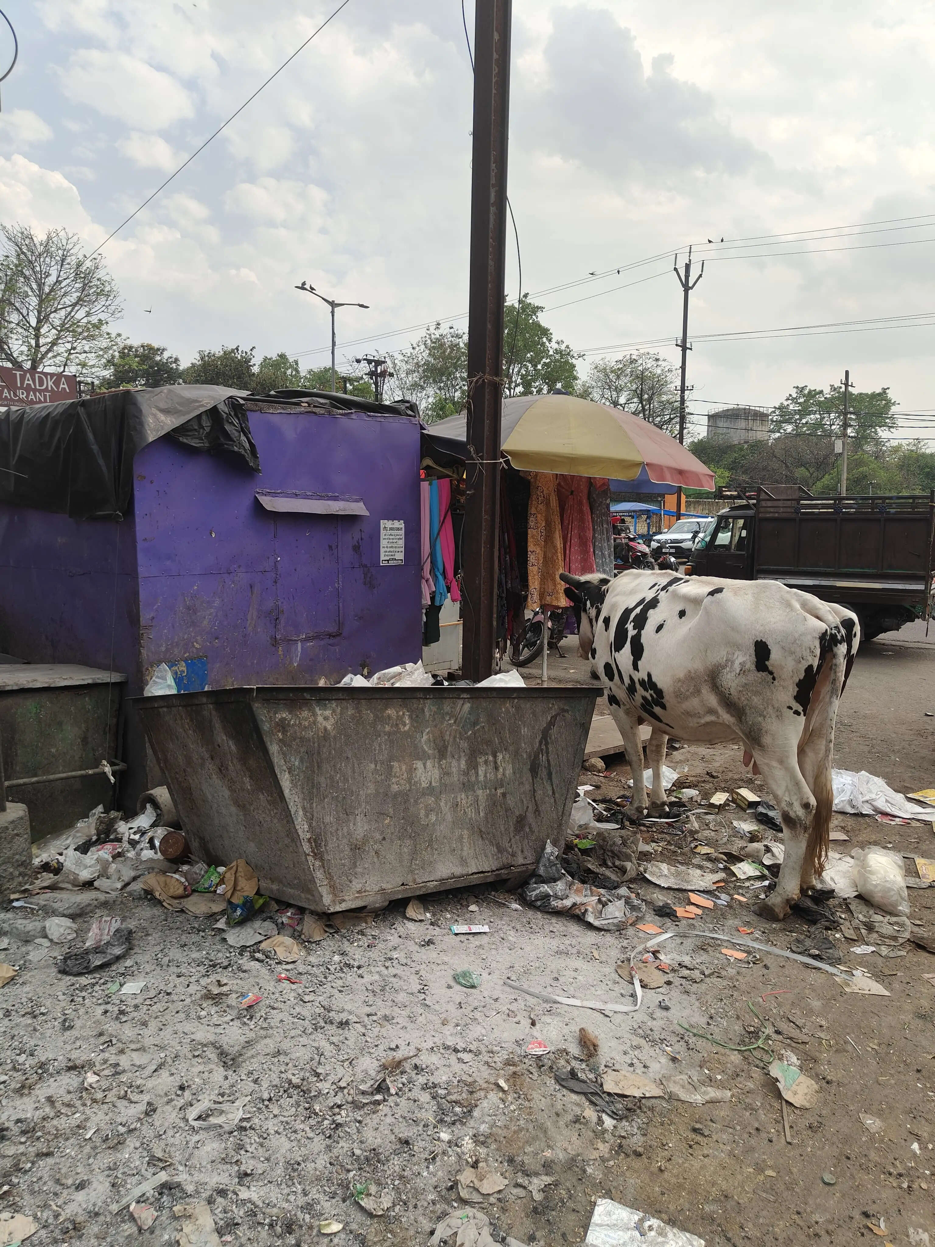शहर में भाजपाइयों ने चलाया सफाई अभियान
