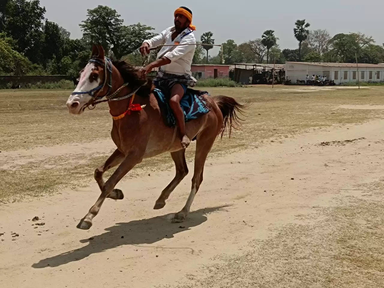 रामनवमी मेला समिति के तत्वावधान में घोड़ा रेस प्रतियोगिता आयोजित