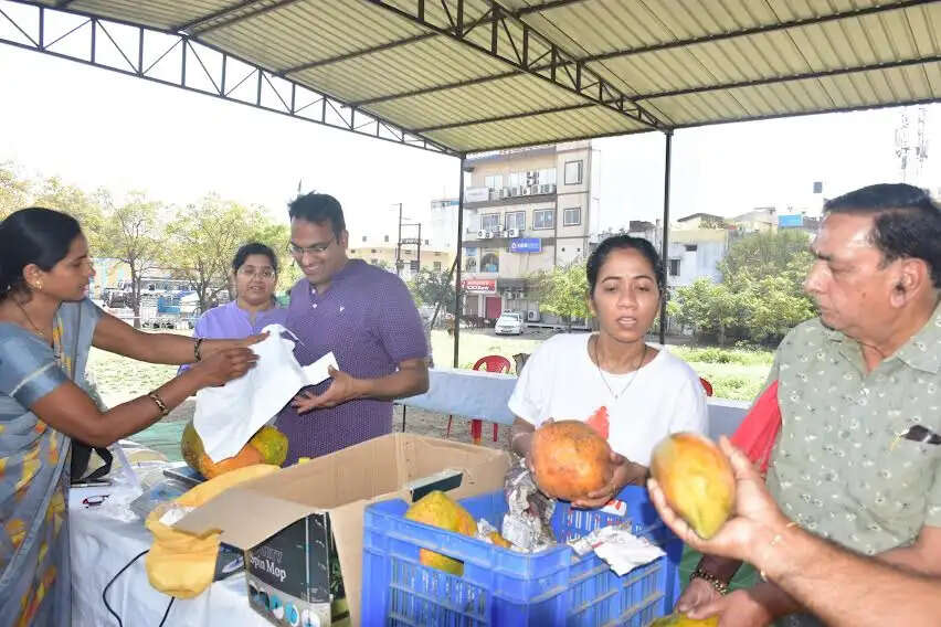 मंदसौरः जैविक एवं प्राकृतिक हाट बाजार को मिल रहा समर्थन
