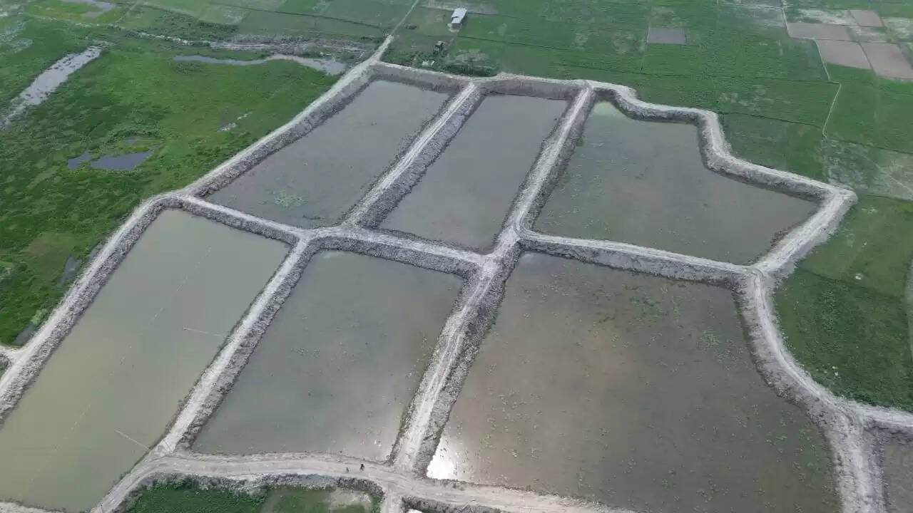 कृषि रोड मैप से बिहार में बदली मछली उत्पादन की सूरत, 20 वर्ष में तीन गुना हुआ उत्पादन