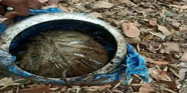 नारायणपुर के गट्टाकाल जंगल में&nbsp;जवानाें&nbsp;ने&nbsp;पांच किलो का&nbsp;कुकर&nbsp;आईईडी&nbsp;बरामद&nbsp;कर&nbsp;किया&nbsp;निष्क्रिय