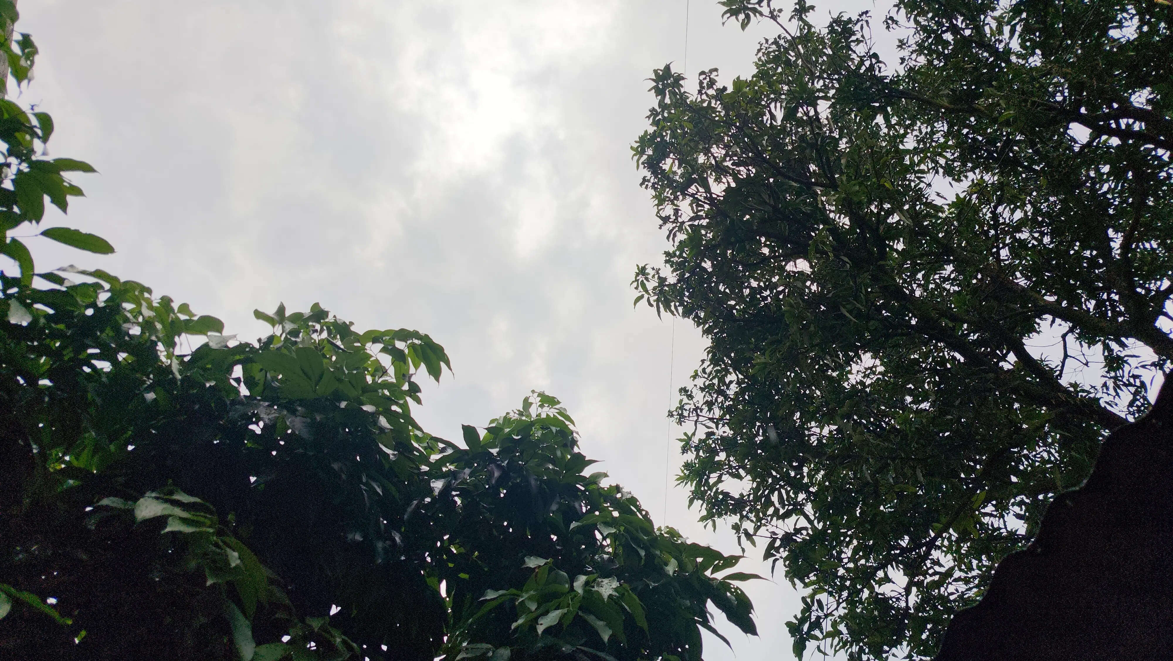 उत्तराखंड में मौसम ने ली करवट, कई जिलों में ओलावृष्टि और तेज हवाओं का अलर्ट