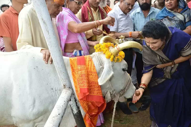 गौ-माता की सेवा से होती है पूर्वजों की सेवाः राज्यमंत्री कृष्णा गौर