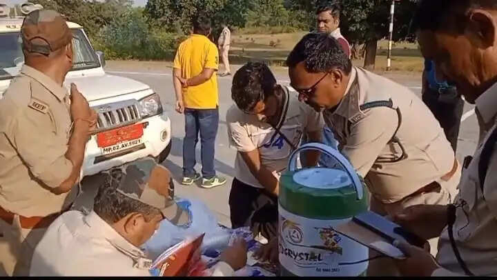 अनूपपुर: वनरक्षक भर्ती परीक्षा: पुरुष-महिला अभ्यर्थियों ने भरी लंबी डग, 6 रहे अनुपस्थित
