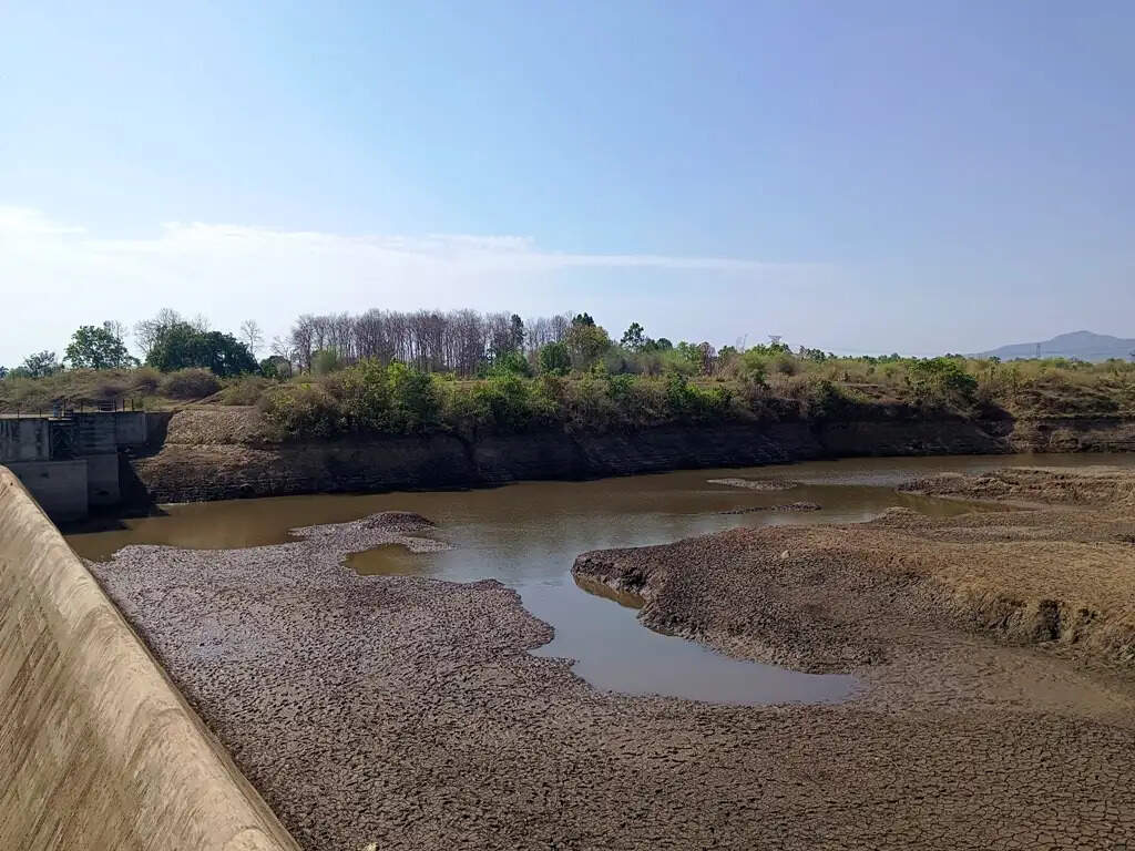अनूपपुर: 10 दिन की गर्मी में सूख गया बकान डायसर्वन, जल संसाधन विभाग की लापरवाही से प्यासे खेत