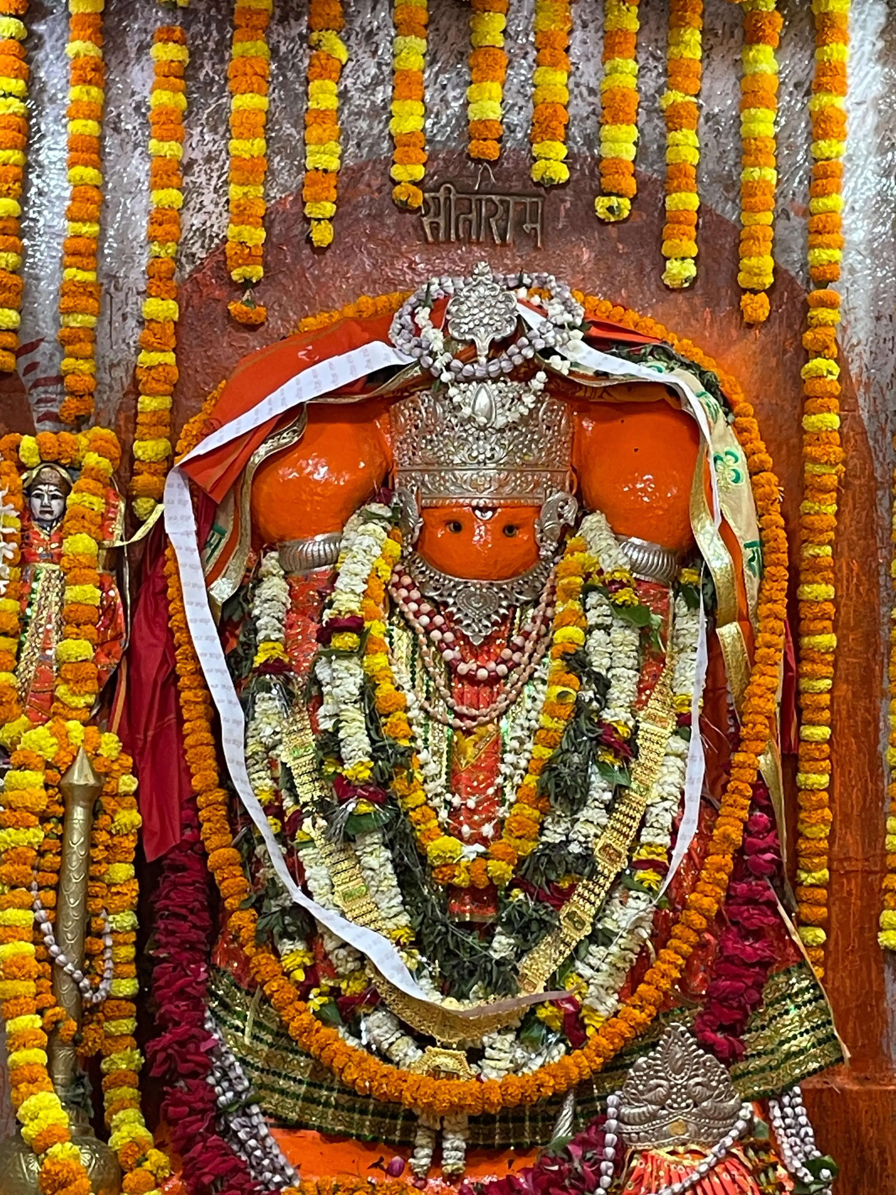 हनुमत जयंती पर काशी विश्वनाथ धाम में समस्त हनुमत विग्रहों की विशेष आराधना