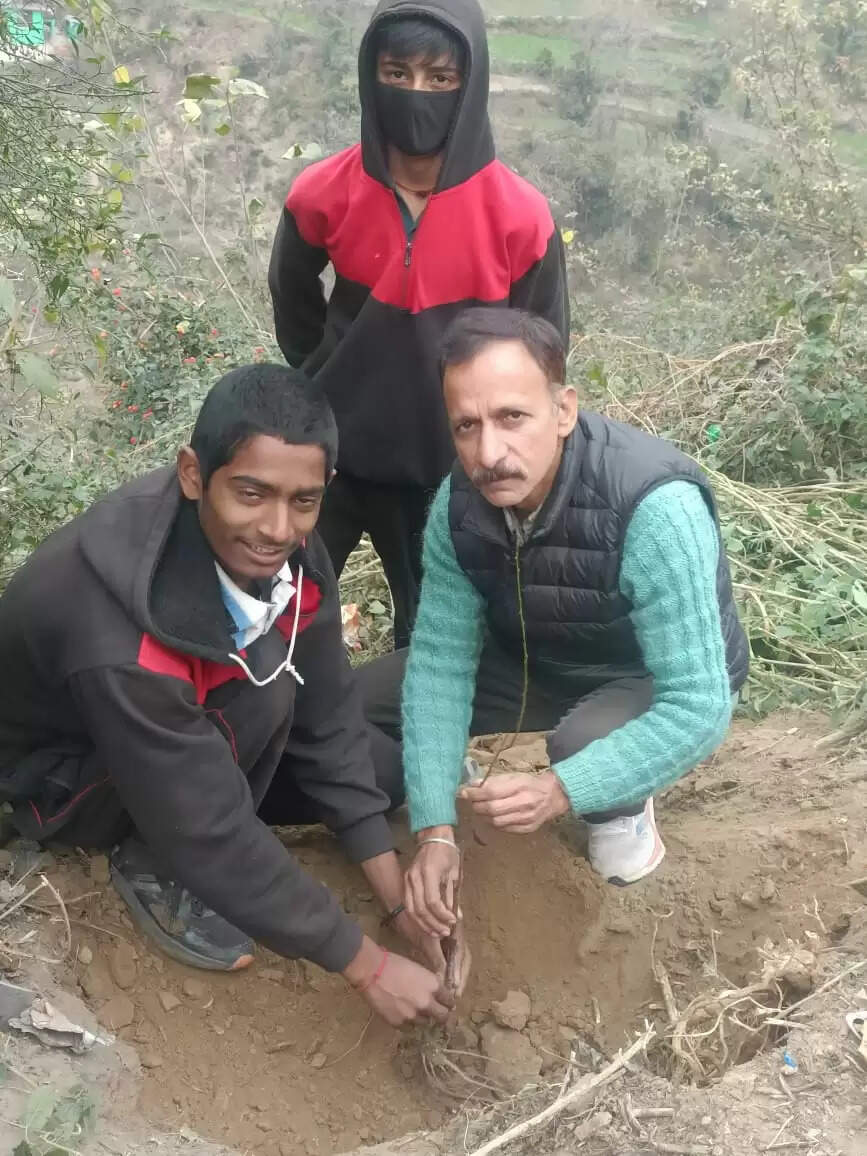 शिक्षक के प्रयासों से नालन स्कूल की भूमि पर लहलहाएंगे फलदार पौधे