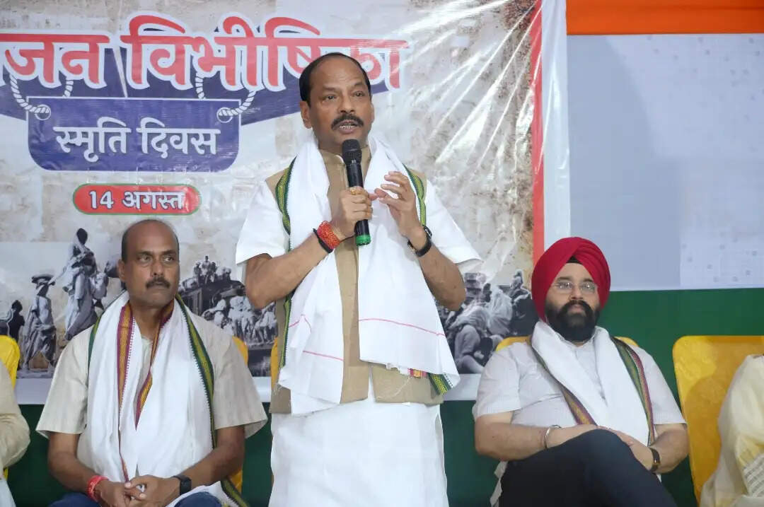 विभाजन विभीषिका स्मृति दिवस पर भाजपा ने विस्थापिताें के संघर्ष को याद किया